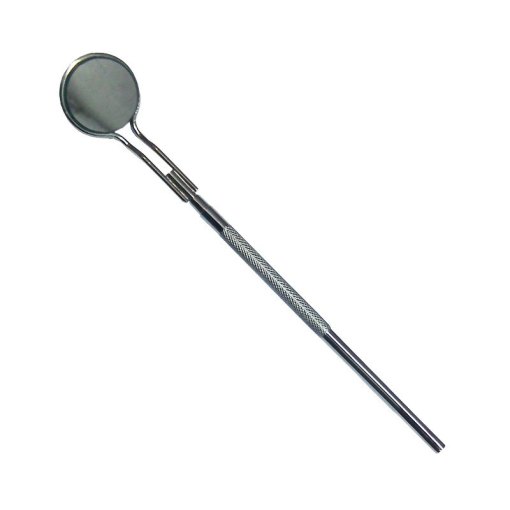 Mouth Mirror & Handles #17